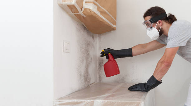 Professional Attic Mold Remediation technician working in Quantico, VA