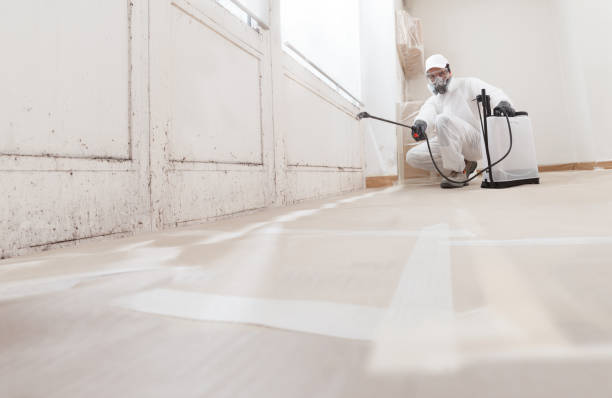 24/7 Emergency Attic Mold Remediation experts in Quantico, VA
