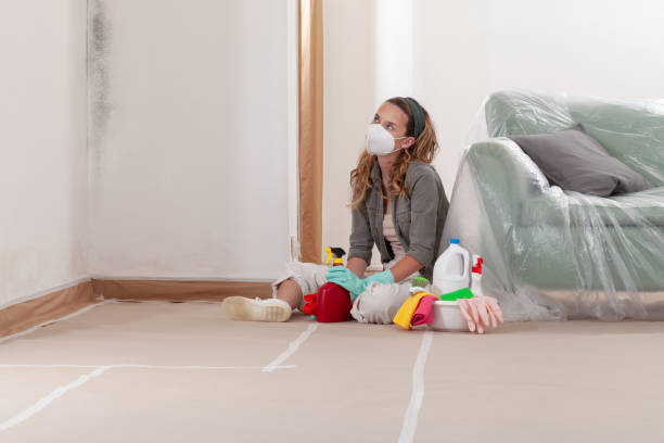Reliable Attic Mold Remediation contractor in Quantico, VA by 24 Hour Mold Removal