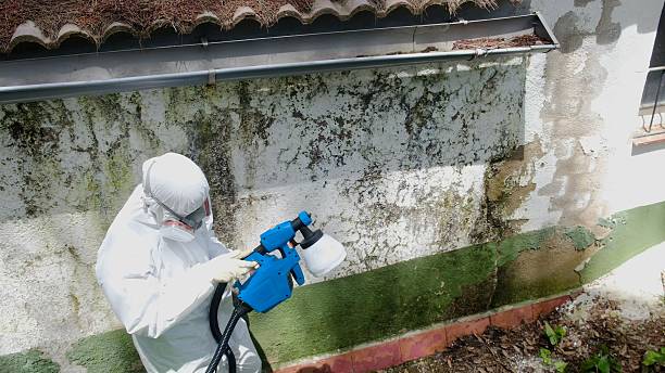 Top rated local Attic Mold Remediation specialists in Quantico, VA